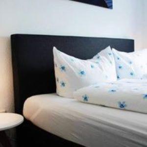 Hotel Restaurant Harrier Hof براكة المظهر الخارجي الصورة